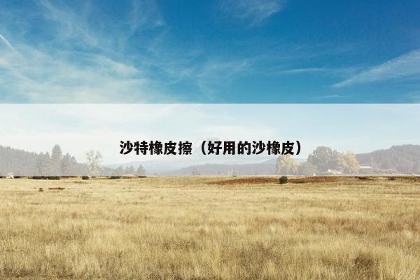 沙特橡皮擦（好用的沙橡皮）