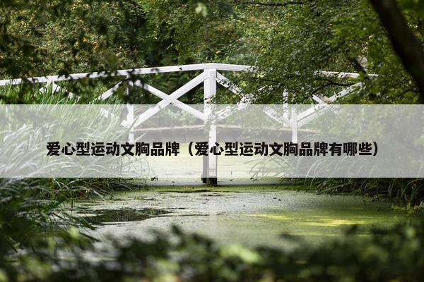 爱心型运动文胸品牌（爱心型运动文胸品牌有哪些）