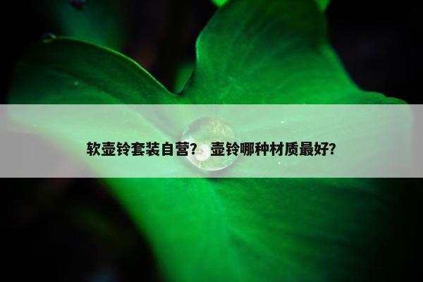 软壶铃套装自营？ 壶铃哪种材质最好？