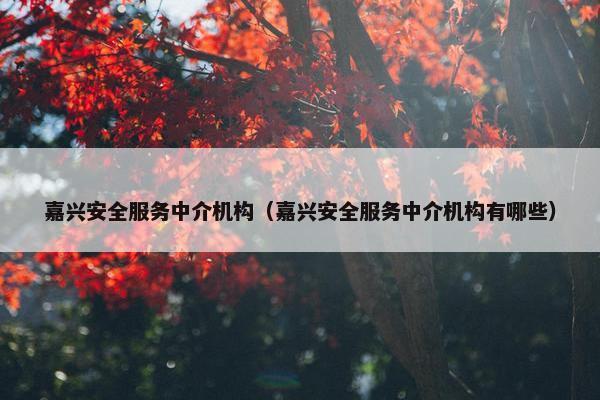 嘉兴安全服务中介机构（嘉兴安全服务中介机构有哪些）