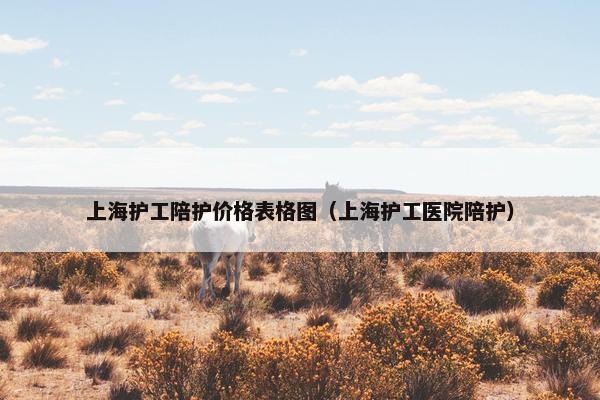 上海护工陪护价格表格图（上海护工医院陪护）