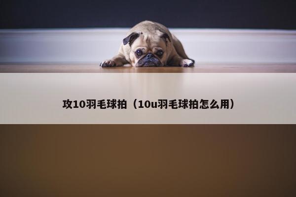 攻10羽毛球拍（10u羽毛球拍怎么用）