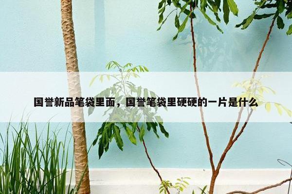 国誉新品笔袋里面，国誉笔袋里硬硬的一片是什么