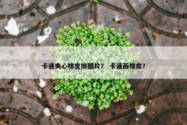 卡通夹心橡皮擦图片？ 卡通画橡皮？
