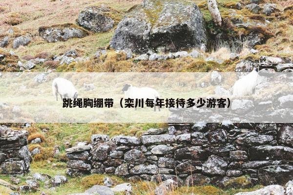 跳绳胸绷带（栾川每年接待多少游客）