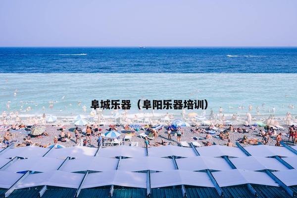 阜城乐器（阜阳乐器培训）