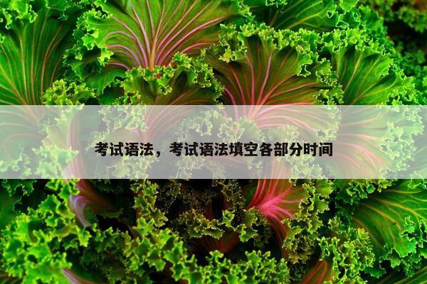 考试语法，考试语法填空各部分时间