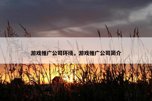 游戏推广公司环境，游戏推广公司简介