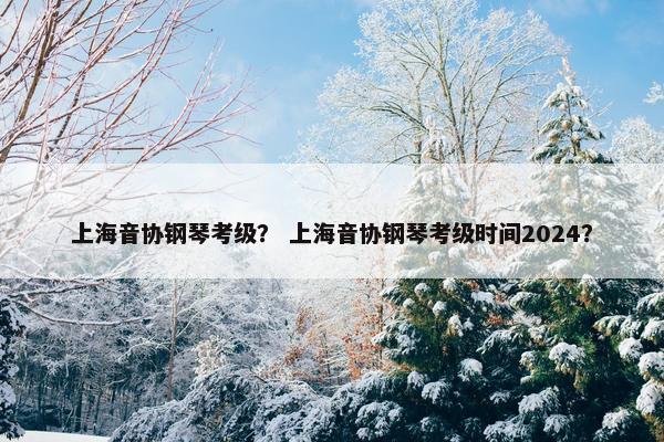 上海音协钢琴考级？ 上海音协钢琴考级时间2024？