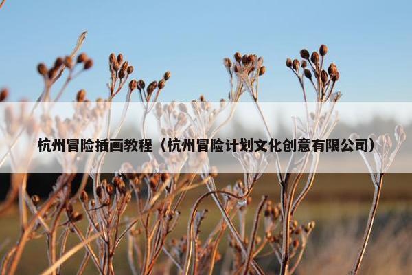 杭州冒险插画教程（杭州冒险计划文化创意有限公司）