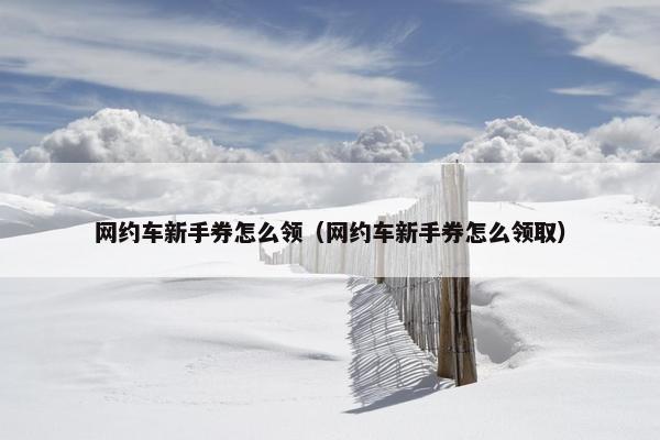 网约车新手券怎么领（网约车新手券怎么领取）