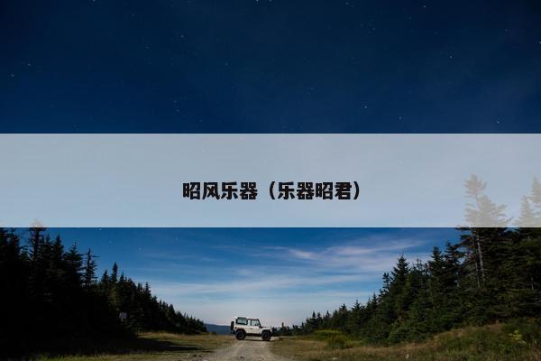 昭风乐器（乐器昭君）