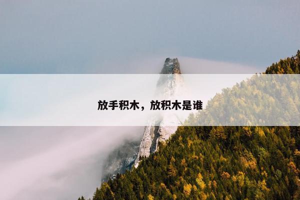 放手积木，放积木是谁